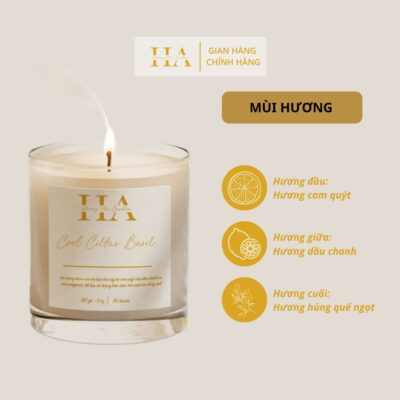 Nến thơm thư giãn hương Cool Ciltus Basil- Hương An Candles