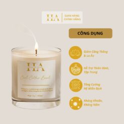 Nến thơm thư giãn hương Cool Ciltus Basil- Hương An Candles